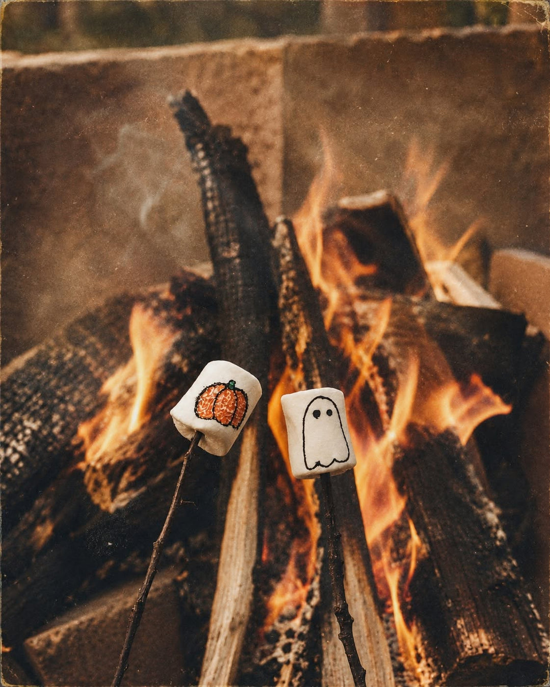 Toasted & Ghosted Halloween Exclusive Collection