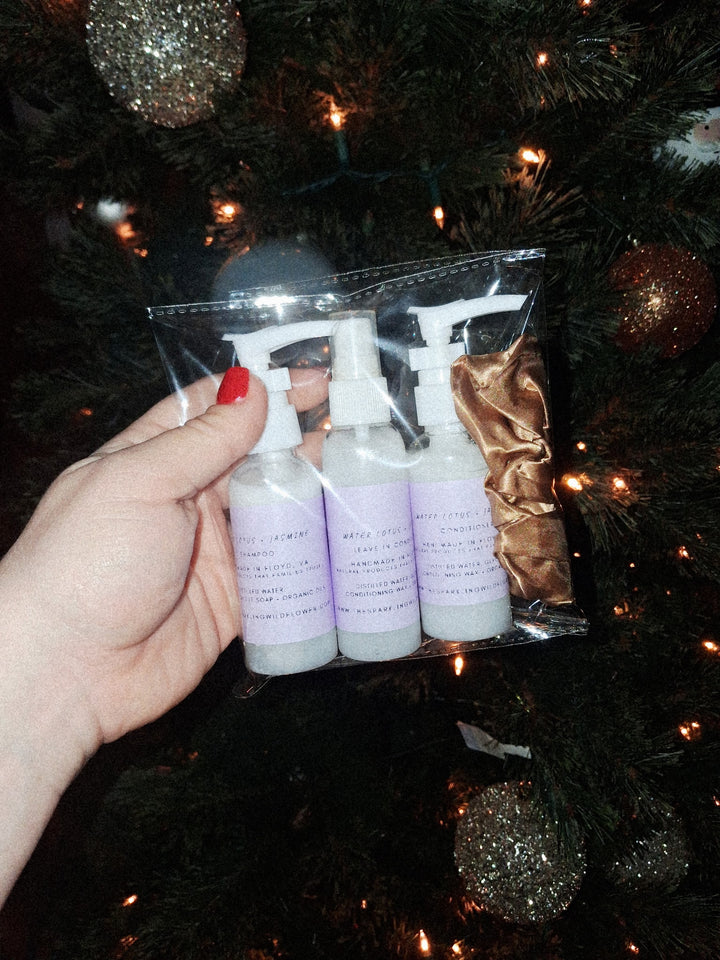 4 piece mini hair care set